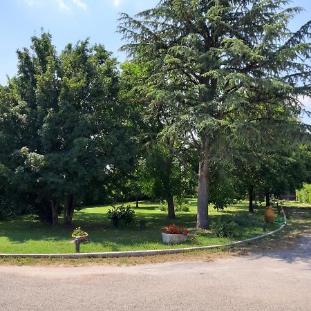 Casa Massimo Hotel Altedo Bagian luar foto