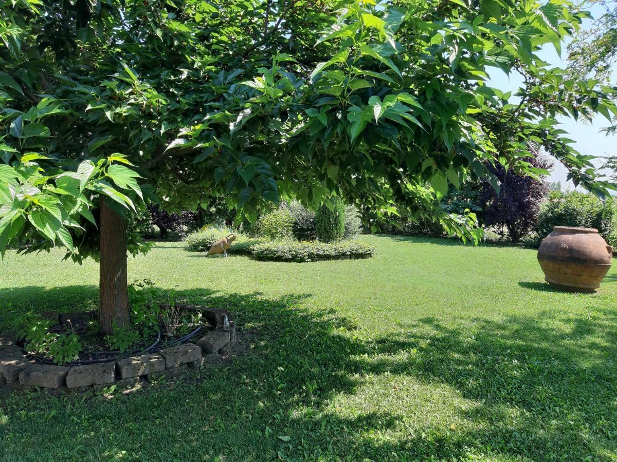 Casa Massimo Hotel Altedo Bagian luar foto
