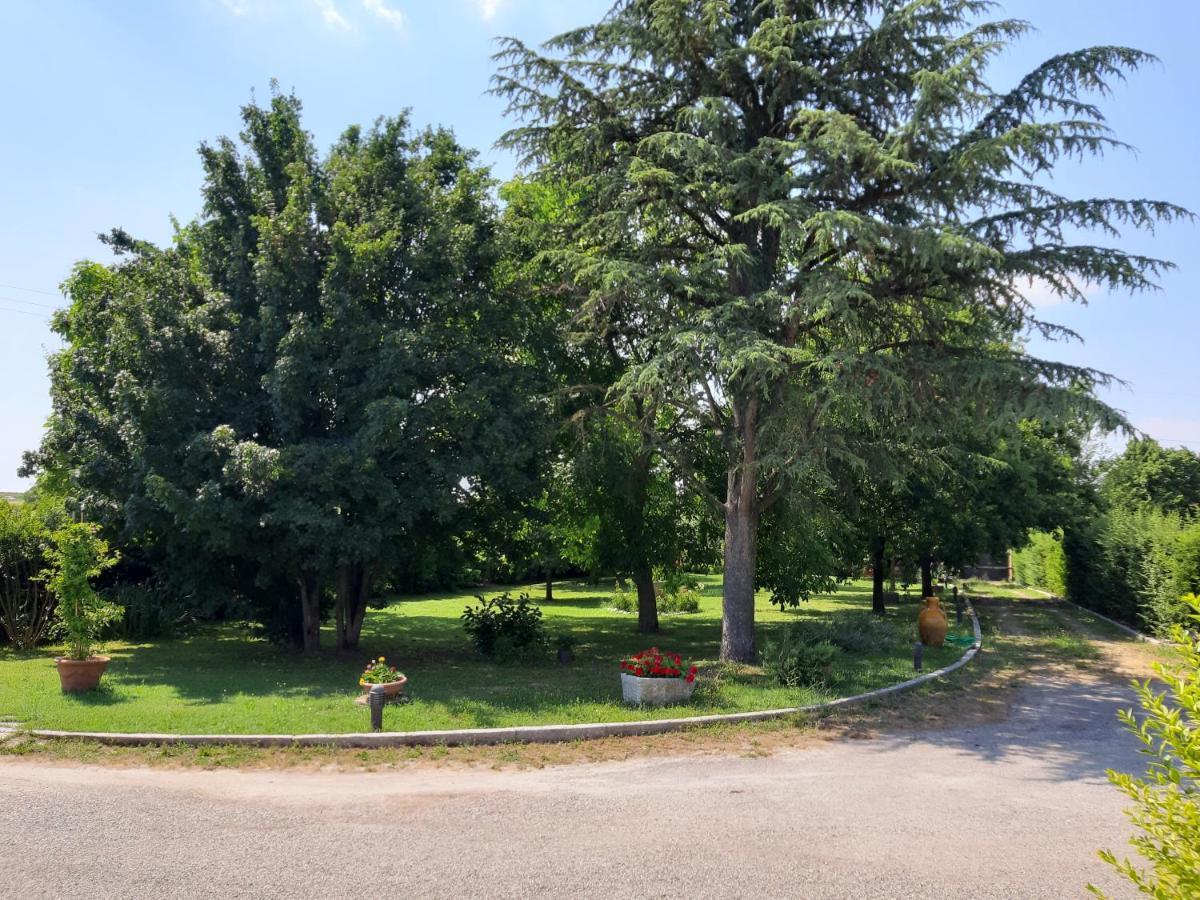 Casa Massimo Hotel Altedo Bagian luar foto